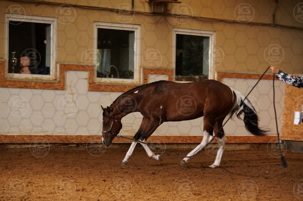s_A9_07765.jpg